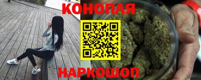 индика Тулун