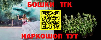 индика Тулун